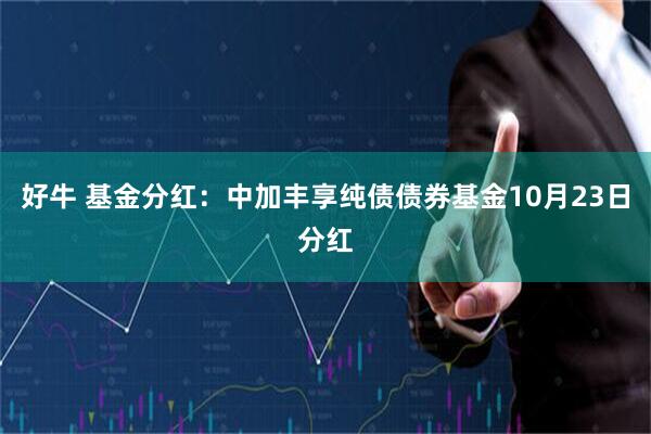 好牛 基金分红：中加丰享纯债债券基金10月23日分红